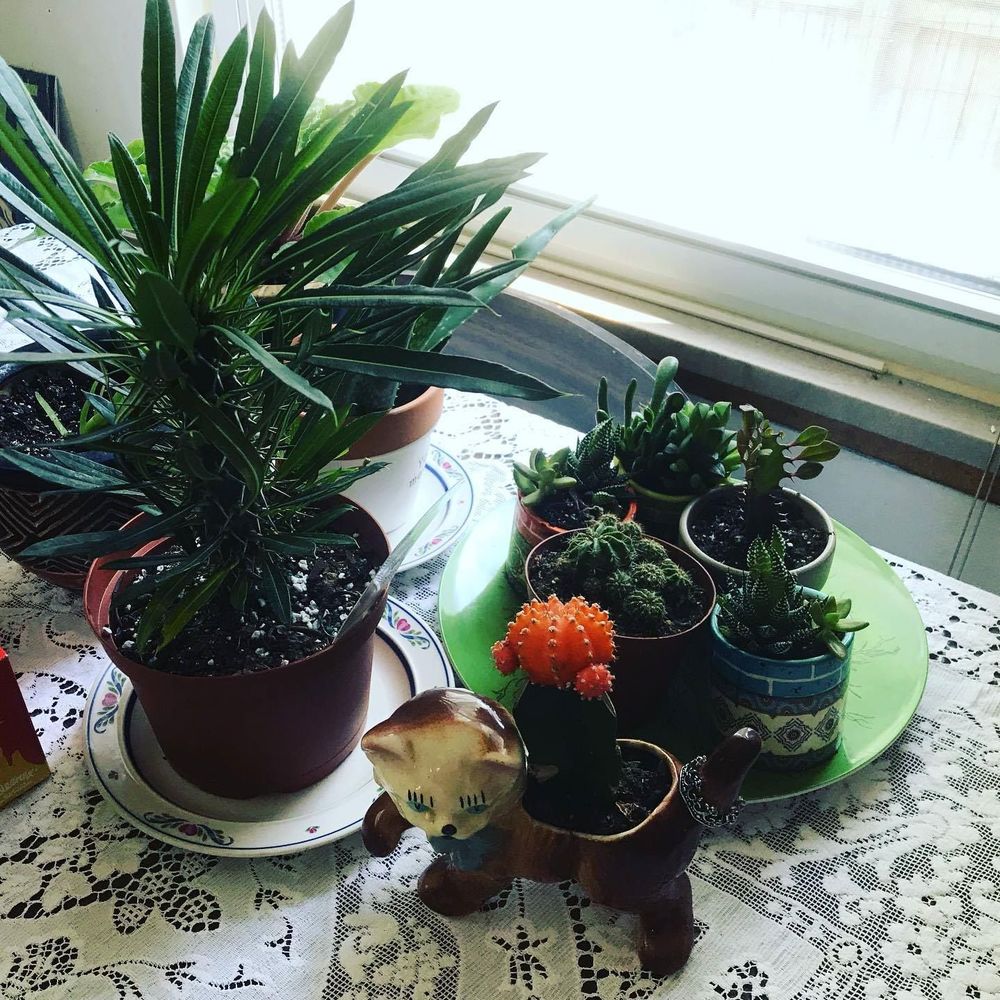 Meet your Posher, Wendy